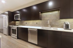 Mount Vernon Baltimore Design Build Kitchen Addition Renovation